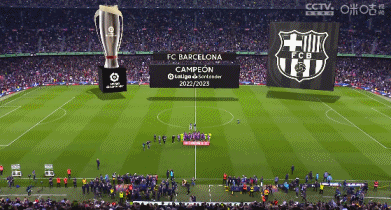 狼队垫底是有原因的